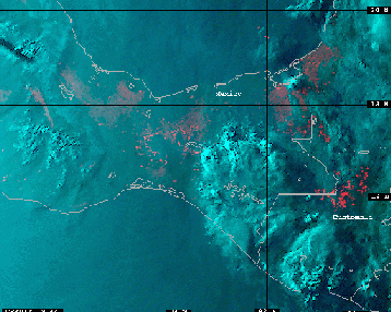 Image shows 
tens of fires across the region.